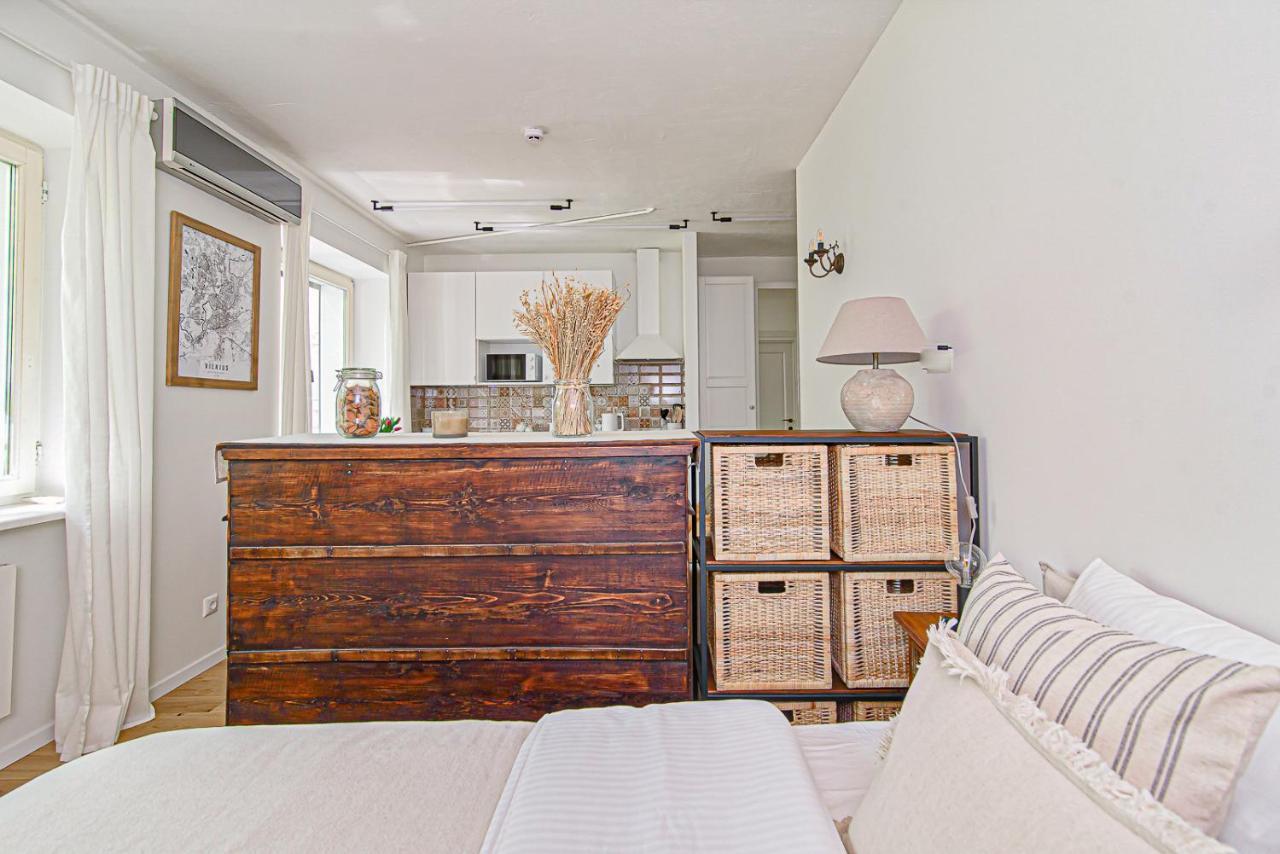Cozy Studio In The Heart Of Vilnius Old Town מראה חיצוני תמונה